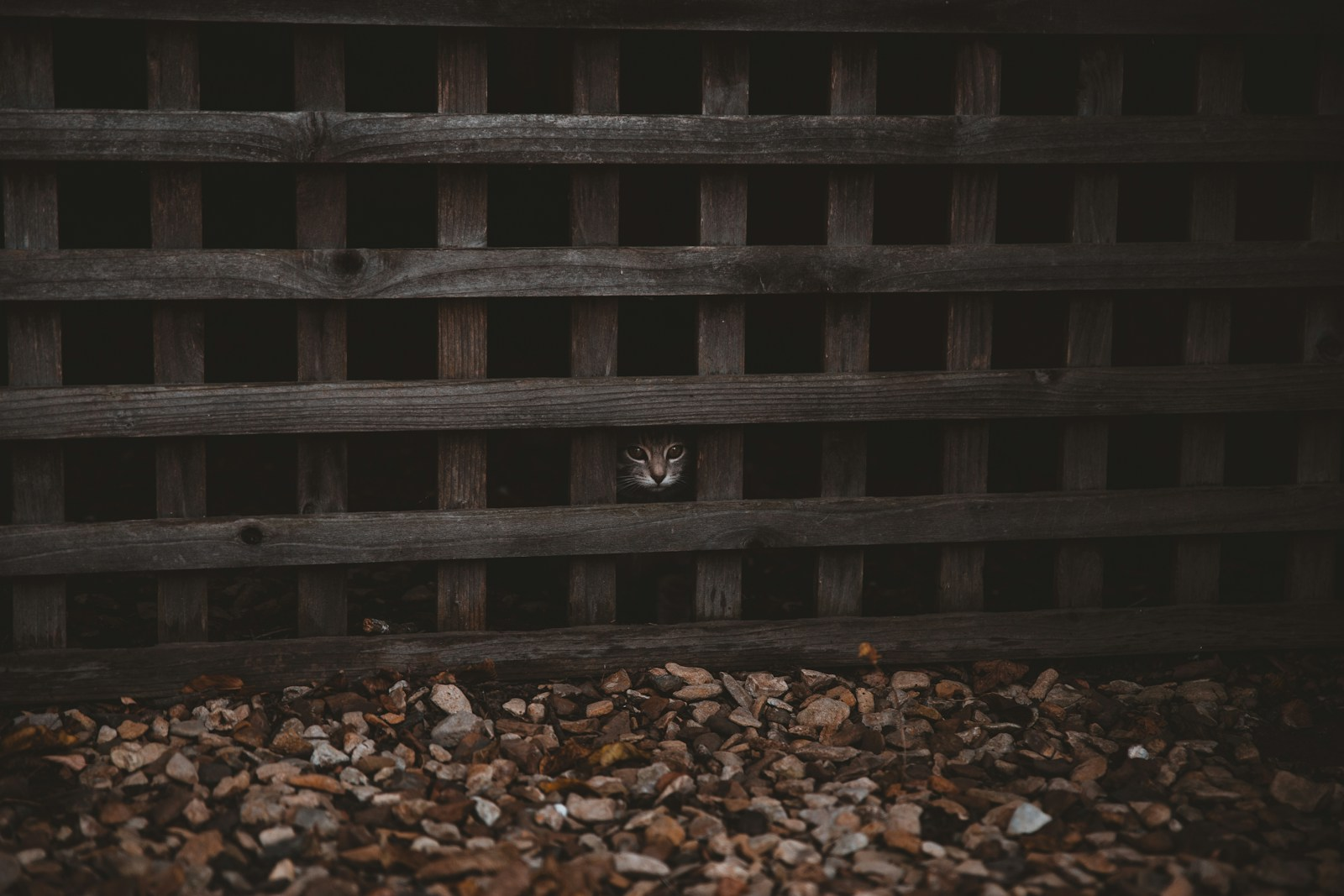Why Solopreneurs Stay Stuck (And How to Break Free with Clarity)